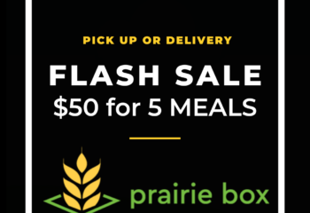 Meal Packs | New Year Flash Sale