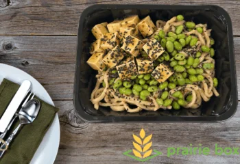 Meals | Chilled Sesame Noodle Bowl